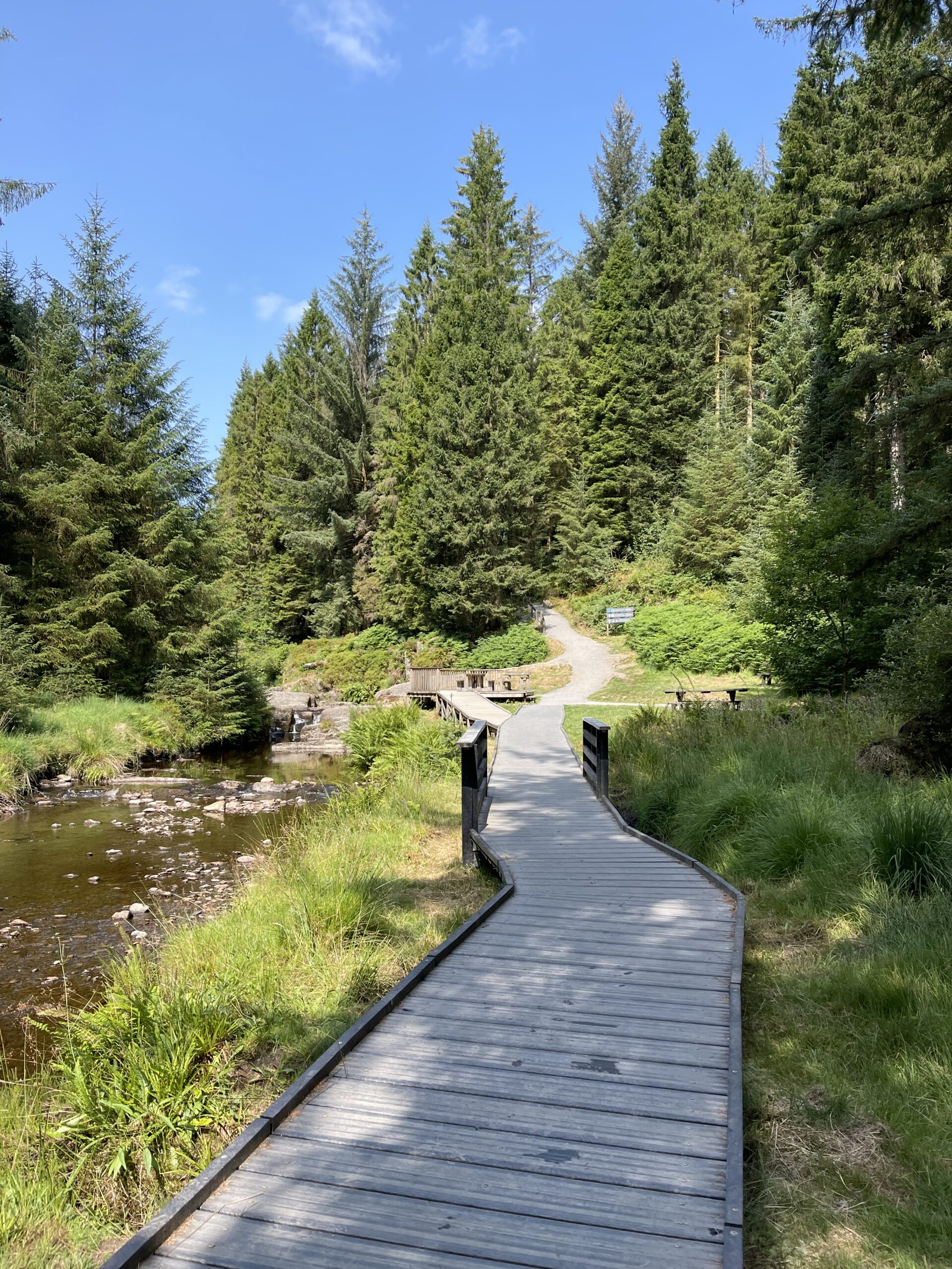 Cascades Walk, Hafren Forest, Wales