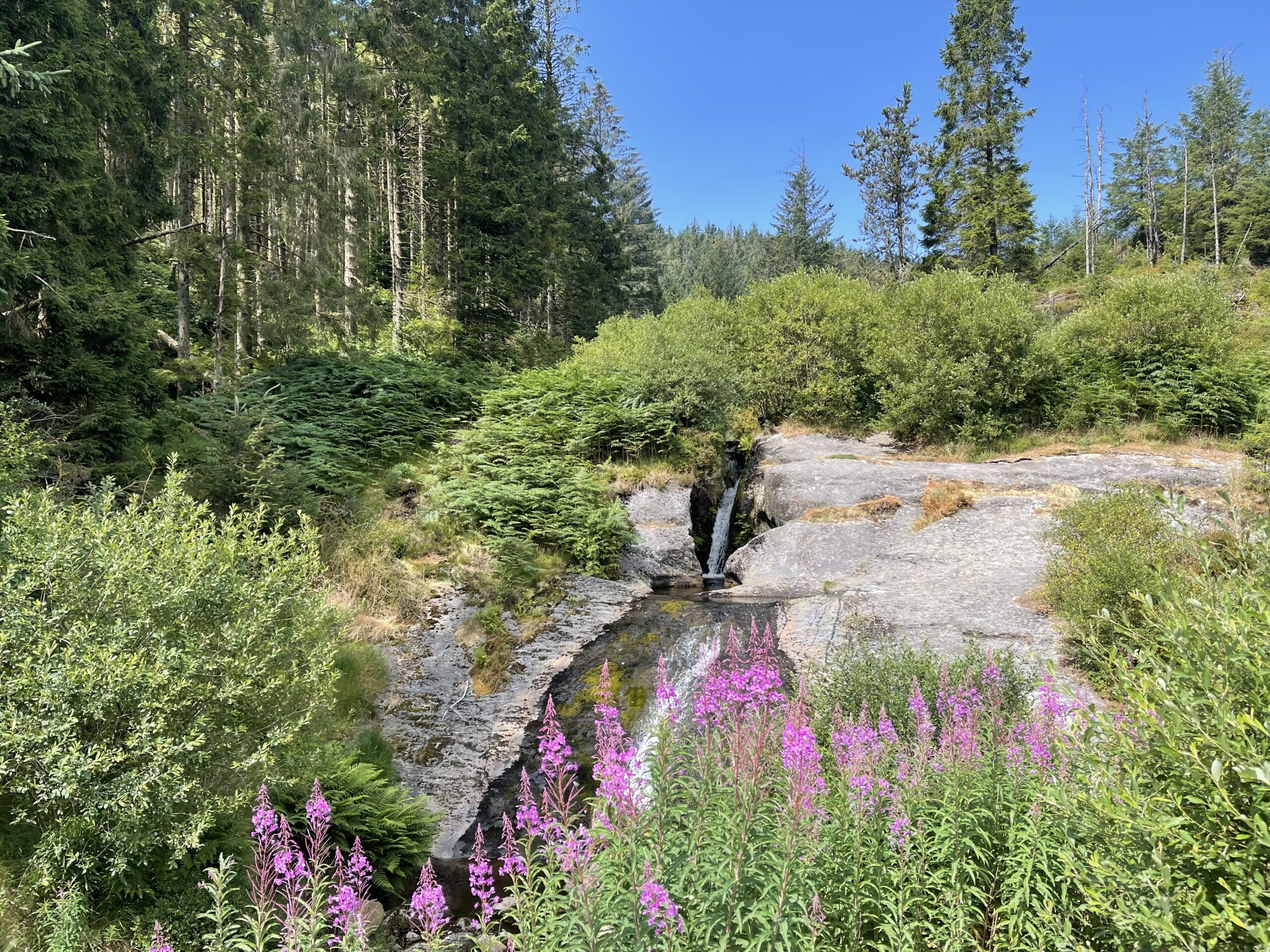 Blaen Hafren Falls - the turnaround point of this route