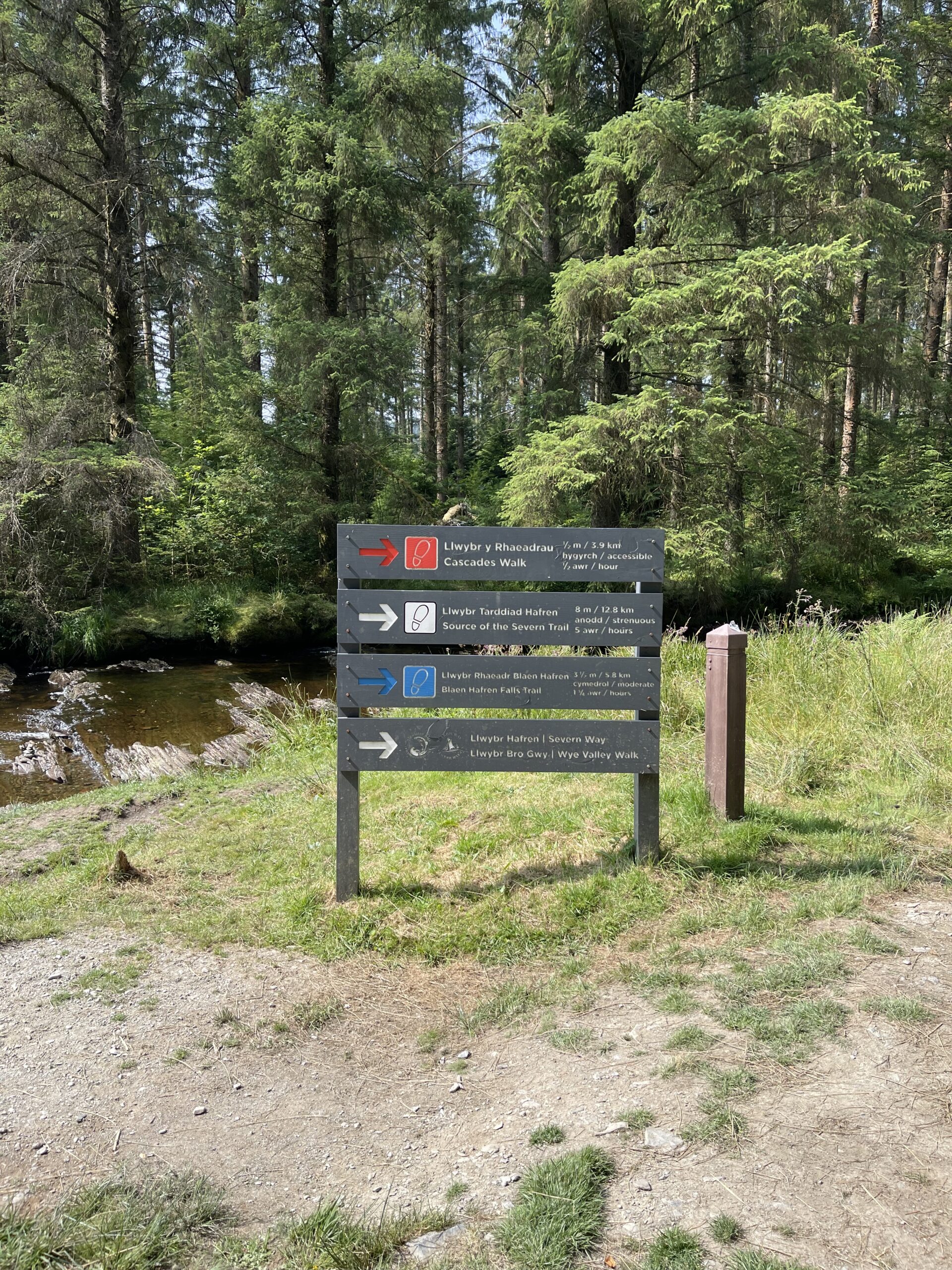 Waymarked trails from the car park at Hafren Forest