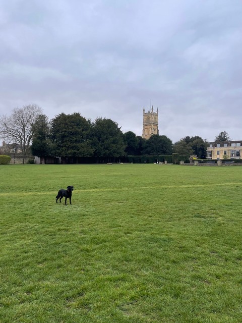 Abbey Grounds, Cirencester