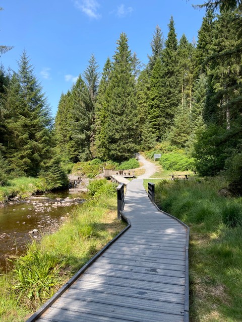 Cascades Walk, Hafren Forest, Wales
