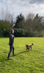Bear with his ChuckIt! ball and launcher