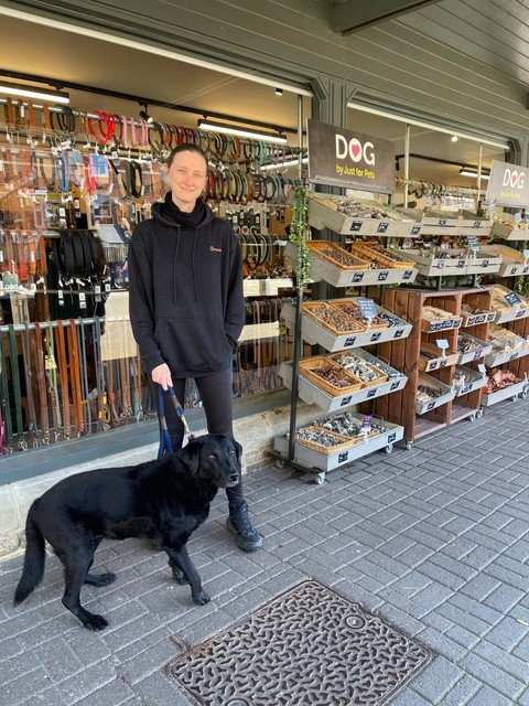 Pepper outside DOG by Just for Pets, Cirencester