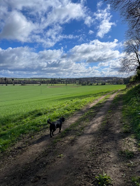 Walking on the wider Bathurst Estate, Cirencester