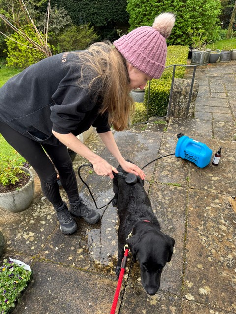Tala getting nice and clean with the Mud Daddy