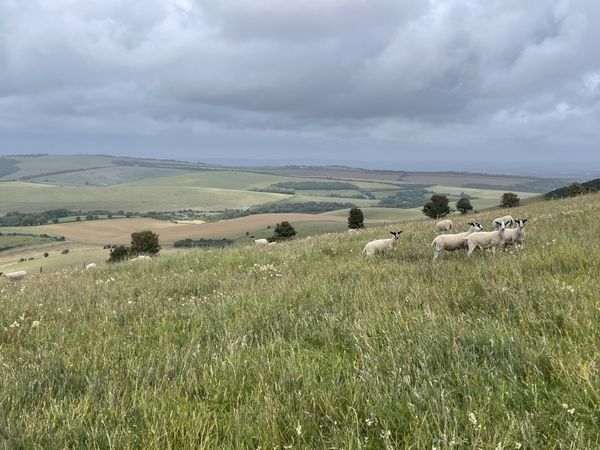 Southease to Ditchling Beacon – South Downs Way