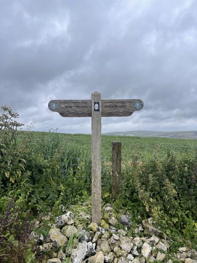 Look for signposts for the South Downs Way - note the black and white acorn. This one near Northease marks where hikers cross over the Meridian Line.