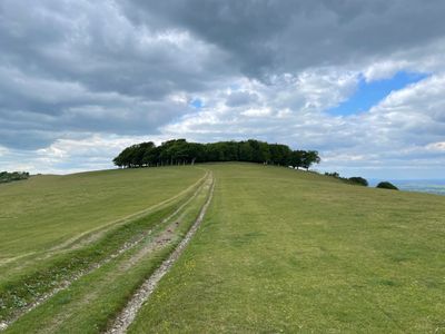 Chanctonbury Ring