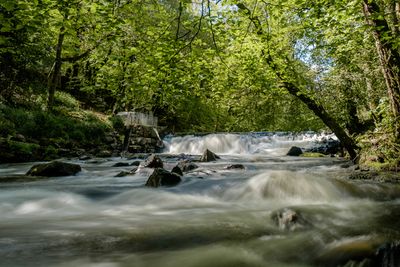 River Teign