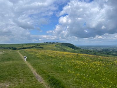 Looking towards Ditchling Beacon on the South Downs