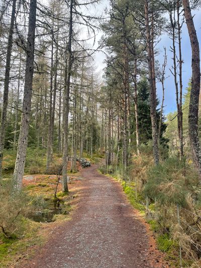 Woodland path alongside Bruar Water