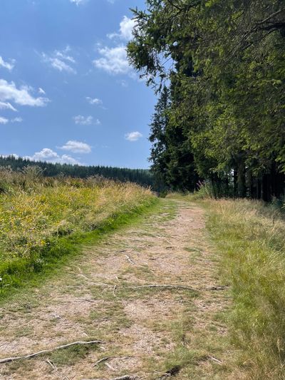 Walking over grassland