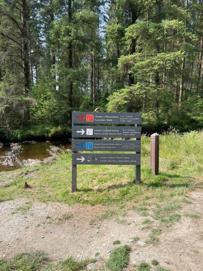 Waymarked trails from the car park at Hafren Forest
