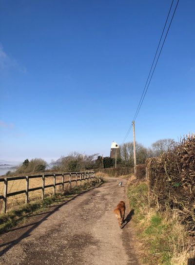 Arriving at Jack windmill, Clayton