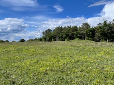 Tumuli - Bronze Age burial mounds - as you approach Heyshott Down