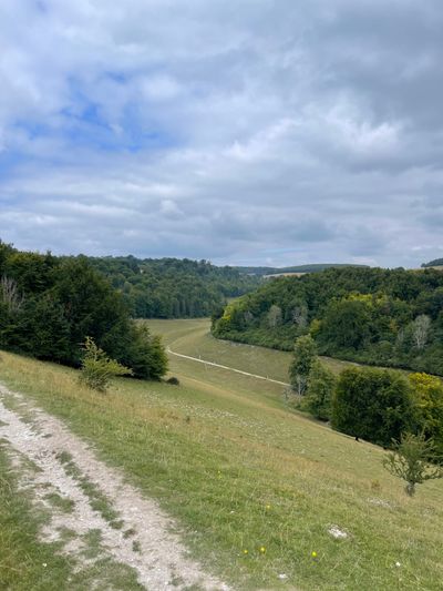 Looking over Arundel Park