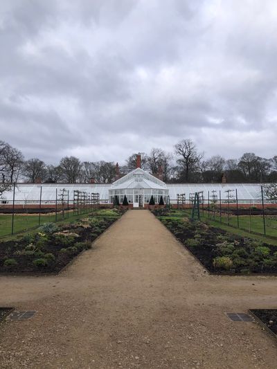 The glasshouse inside the walled kitchen garden at Clumber Park