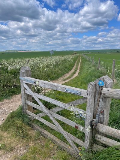 Blue arrows point you along the footpath in addition to official signs