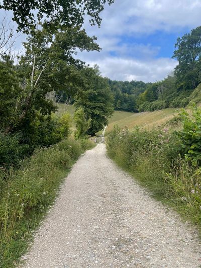 Path through Arundel Park, towards Swanbourne Lake