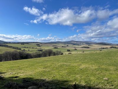 A short detour to the edge of the tree line provides a spectacular view of Lochnagar, one of the most walked hills in the Cairngorms