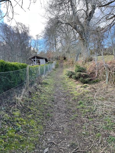 The path alongside the kitchen garden, leading you up into the woodland