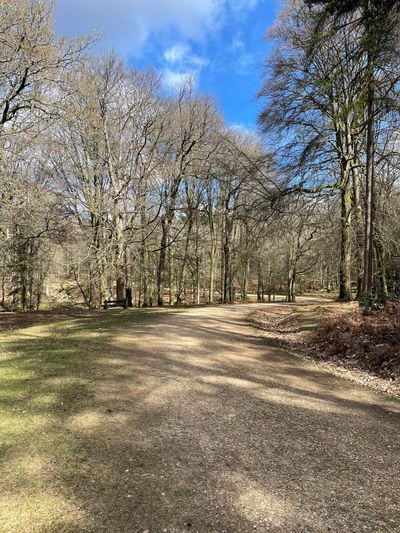 There are benches at regular intervals along the route