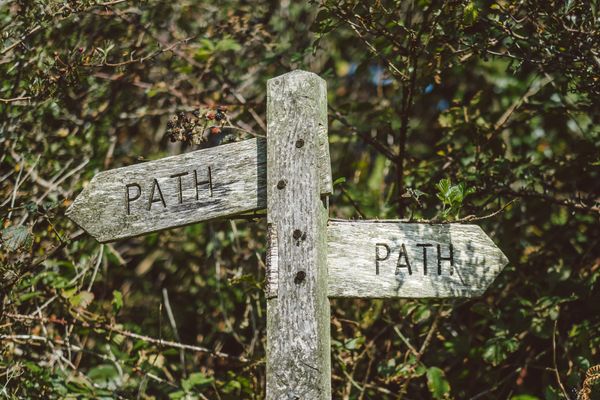 Apps and websites to help you grow in 2021