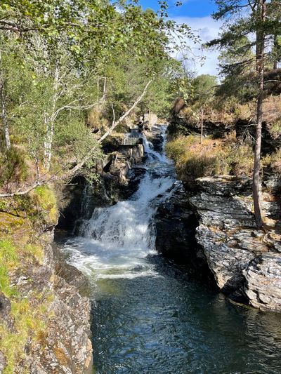 The old salmon ladder on the Lui Water