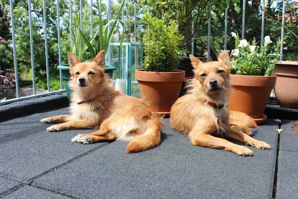 Summer sits in Brighton