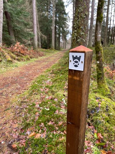 National Trust way markers help you stay on track