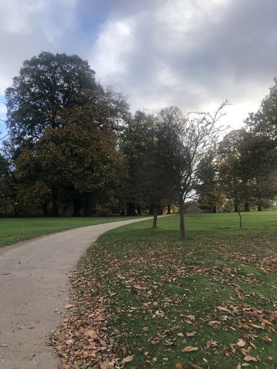 Across the golf course at Knole Park