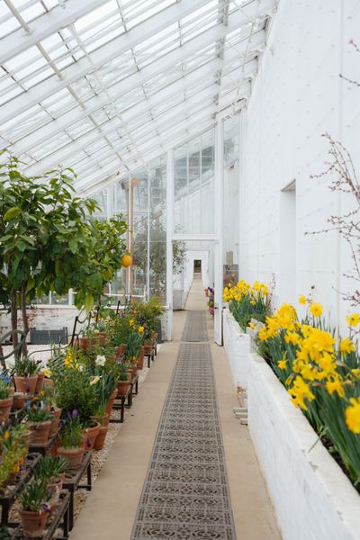 Inside the glasshouse at Clumber Park