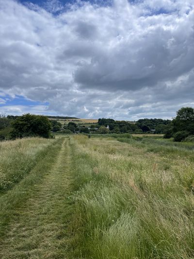 On the grassy, riverside path from Alfriston looking towards Litlington