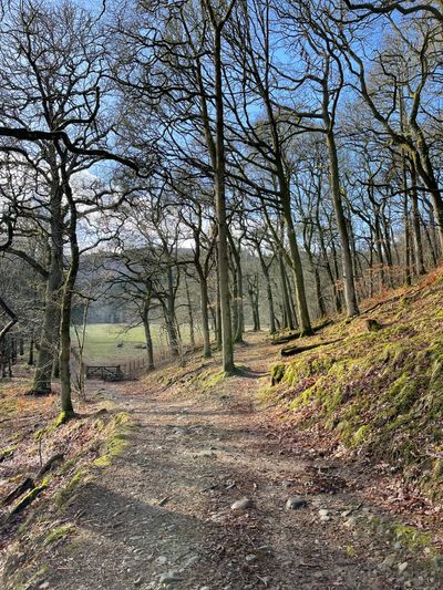 Woodland footpath from Garry Bridge
