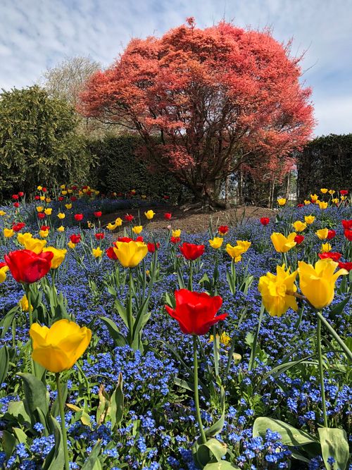 Enchanting National Trust places to visit this Spring