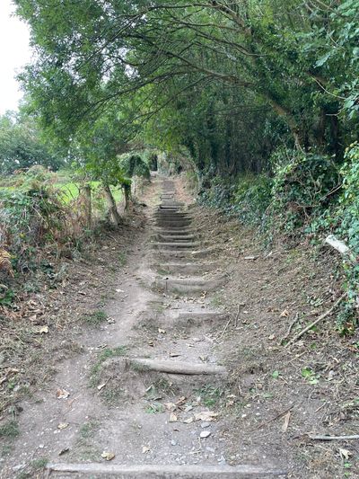 Expect lots of steep climbs up and down as you follow this route!