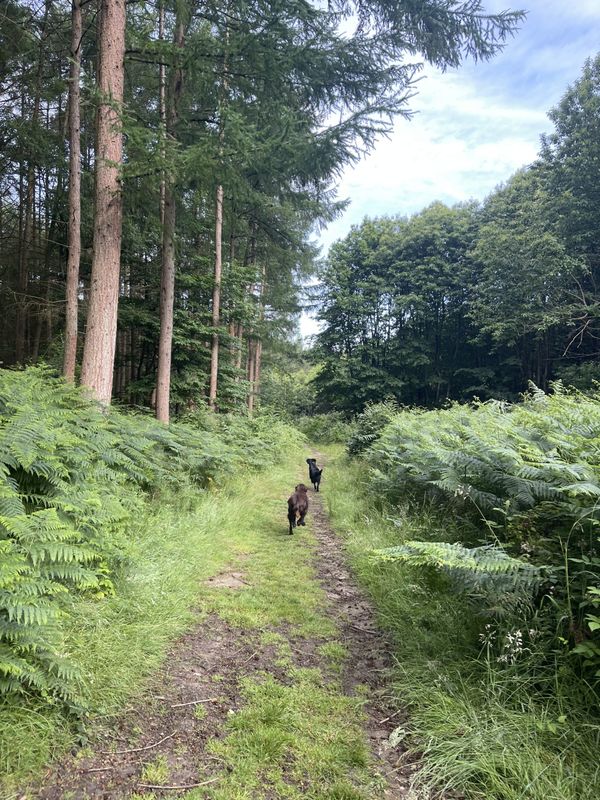 Great Britain’s Wood, Sevenoaks