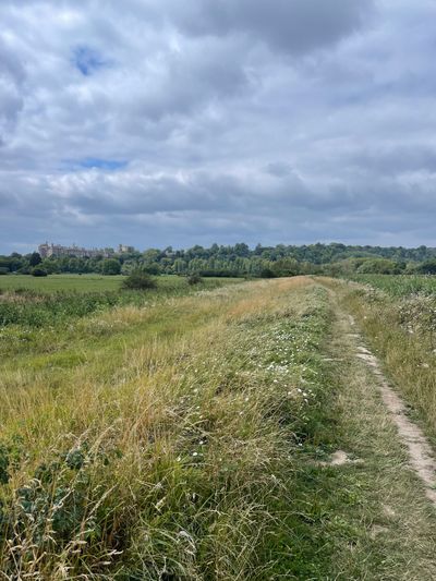 View back to Arundel Castle