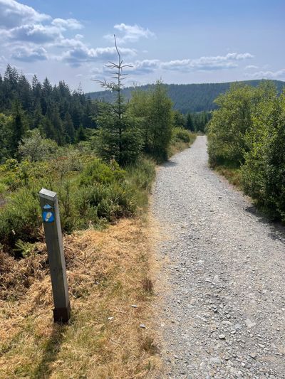 Dark blue way markers en route