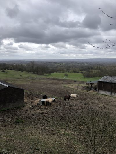 Views over Underriver