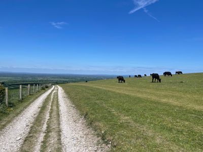 Cows in fields en route - keep dogs under close control