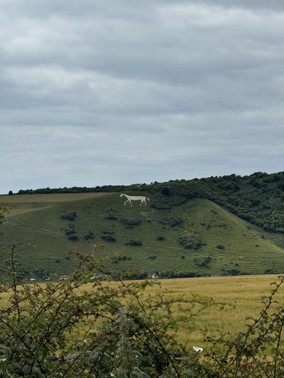 The Litlington white horse