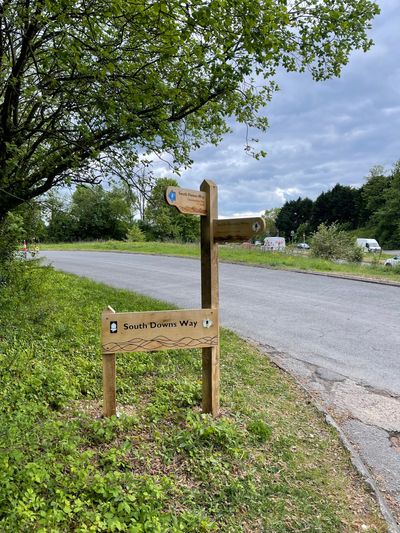 Official signposts for the South Downs Way guide you along the route
