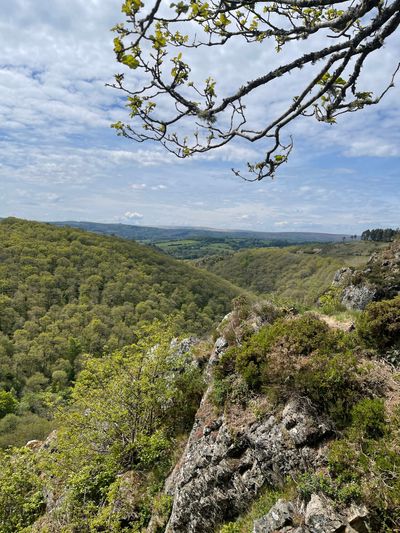 Views over the Teign Gorge