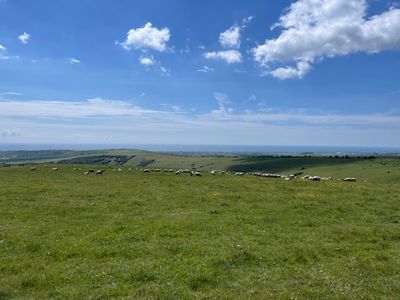 Views out to sea