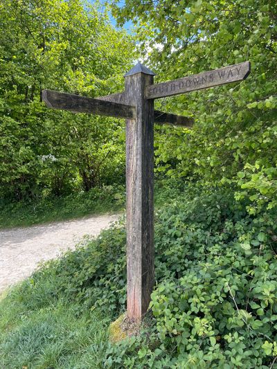 An older South Downs Way sign from 2011