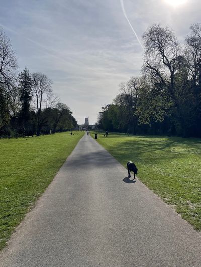 Cirencester Park