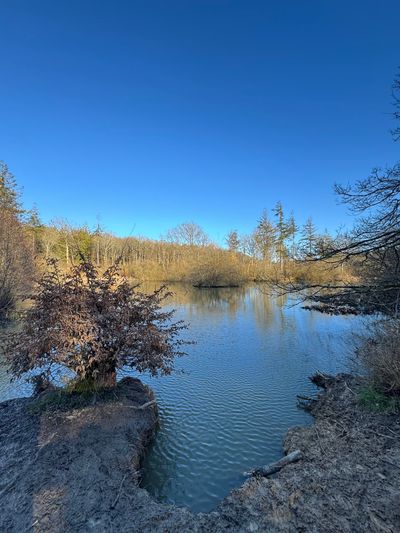 The lake
