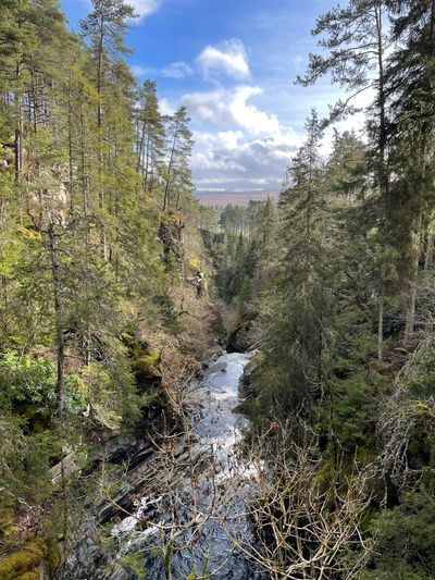 Spectacular views through the trees as you climb higher along the woodland paths