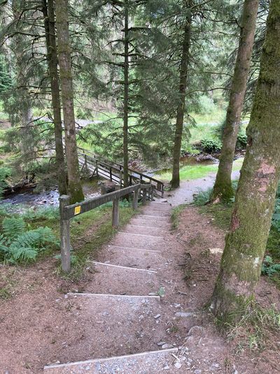 A short section of steps near the beginning/end of the route